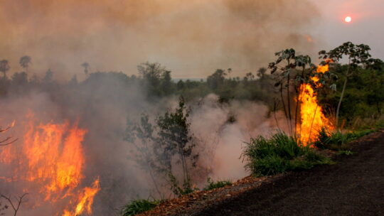 Bombeiros controlam incêndio em fazenda de São José do Egito