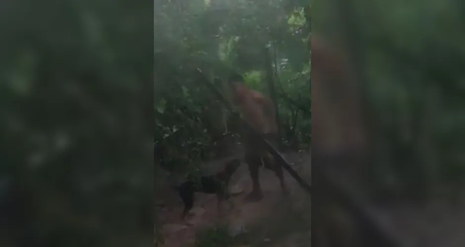 Suspeito de zoofilia com cachorro nega crime e diz que “estava bêbado”