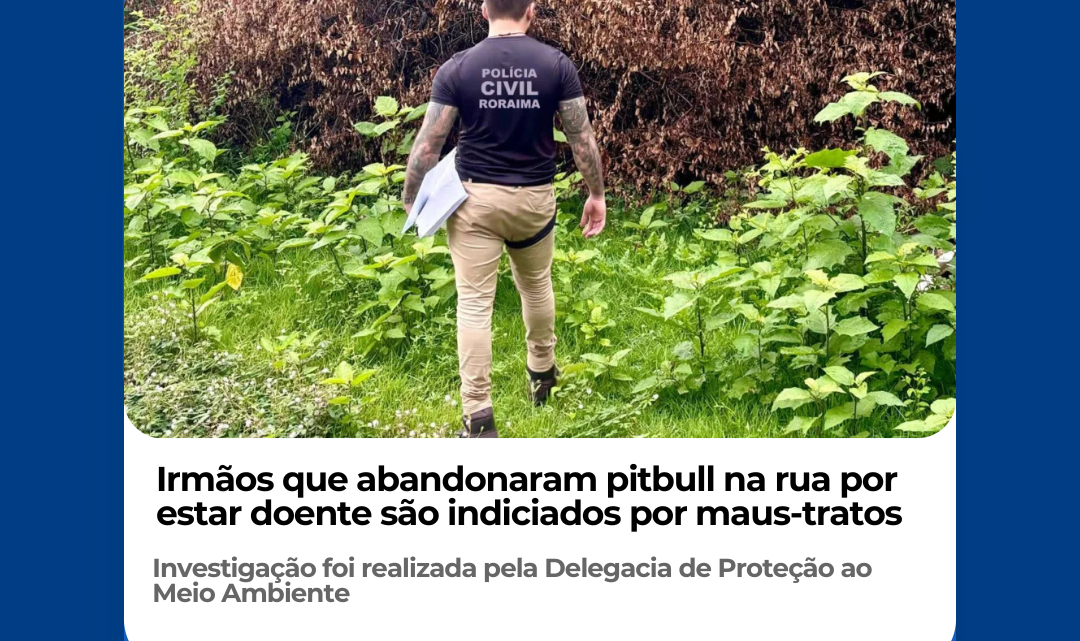 Irmãos que abandonaram pitbull na rua por estar doente são indiciados por maus-tratos