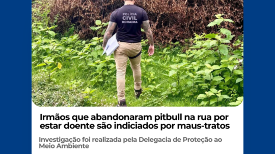 Irmãos que abandonaram pitbull na rua por estar doente são indiciados por maus-tratos